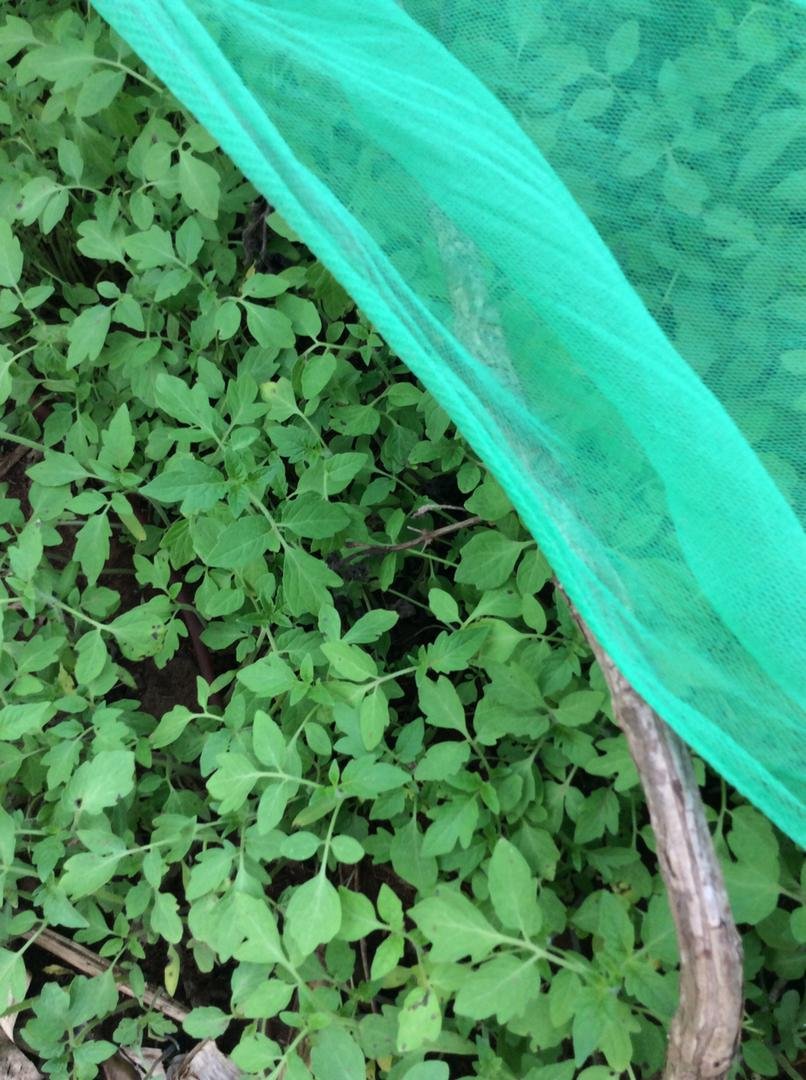 WhatsApp Image 2022-11-14 at 1.52.51 PM